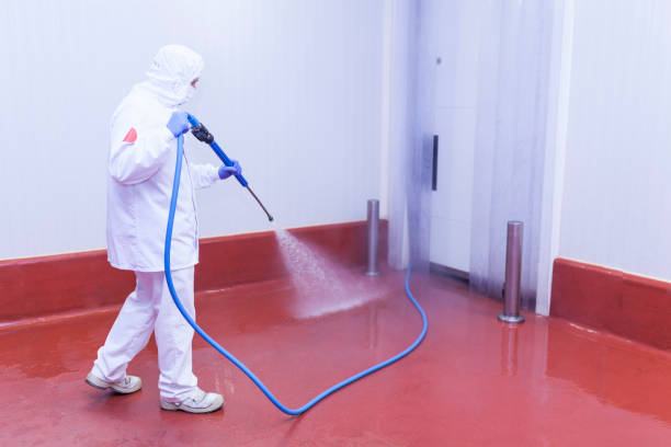 Best Residential Exterior Washing  in Four Cners, OR